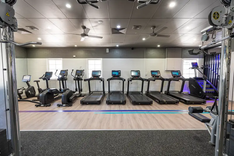 The cardio row