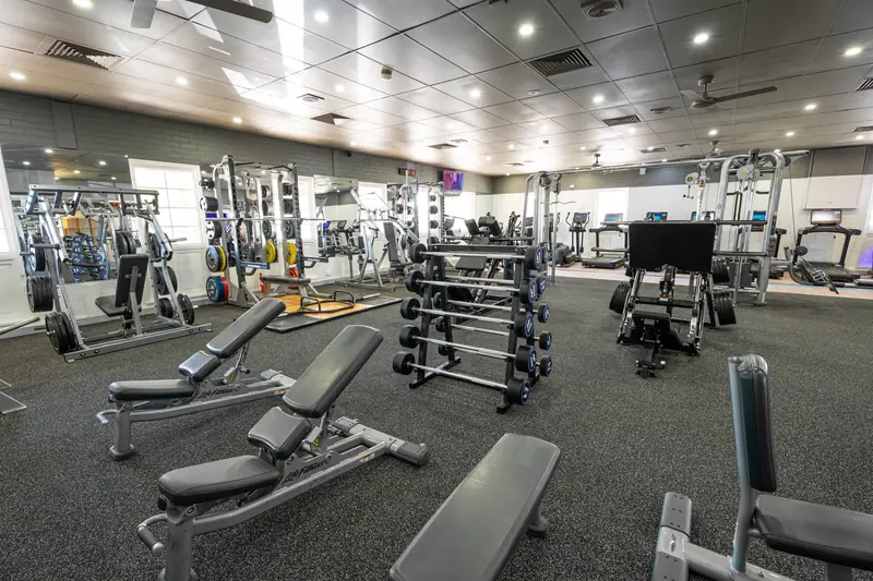 Adjustable benches and the barbell rack